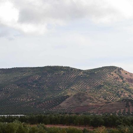 Finca El Vizconde Naturaleza Con Tus Hijos Arquillos Εξωτερικό φωτογραφία