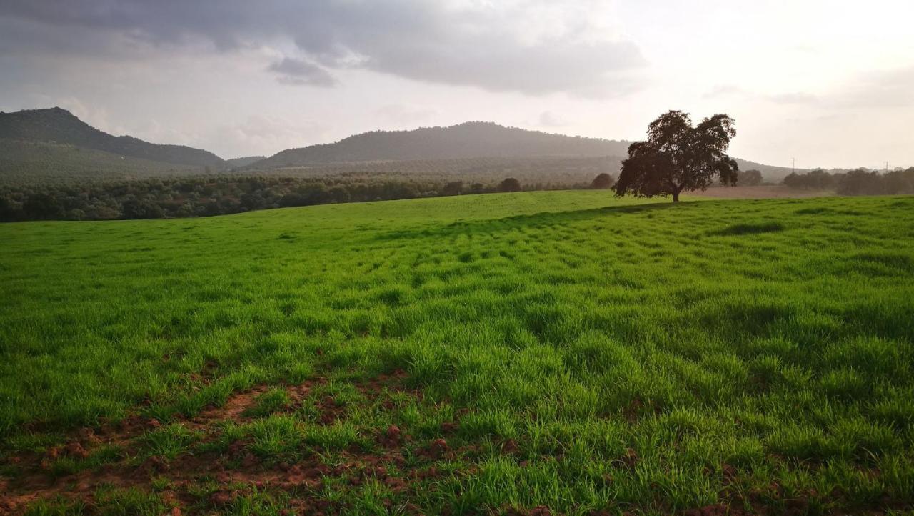 Finca El Vizconde Naturaleza Con Tus Hijos Arquillos Εξωτερικό φωτογραφία