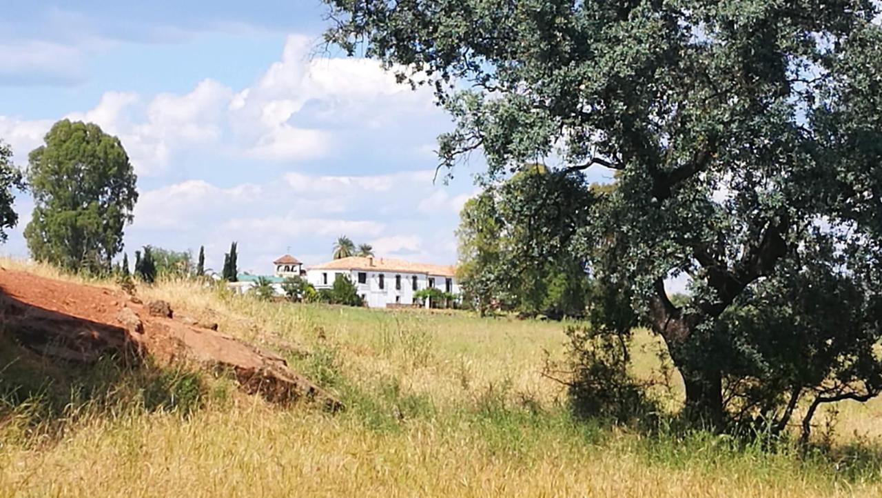 Finca El Vizconde Naturaleza Con Tus Hijos Arquillos Εξωτερικό φωτογραφία
