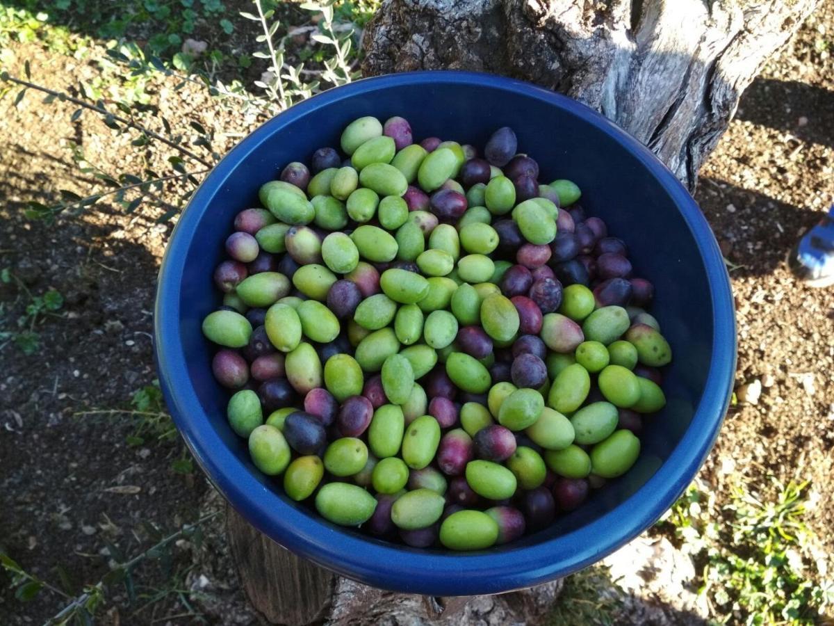 Finca El Vizconde Naturaleza Con Tus Hijos Arquillos Εξωτερικό φωτογραφία