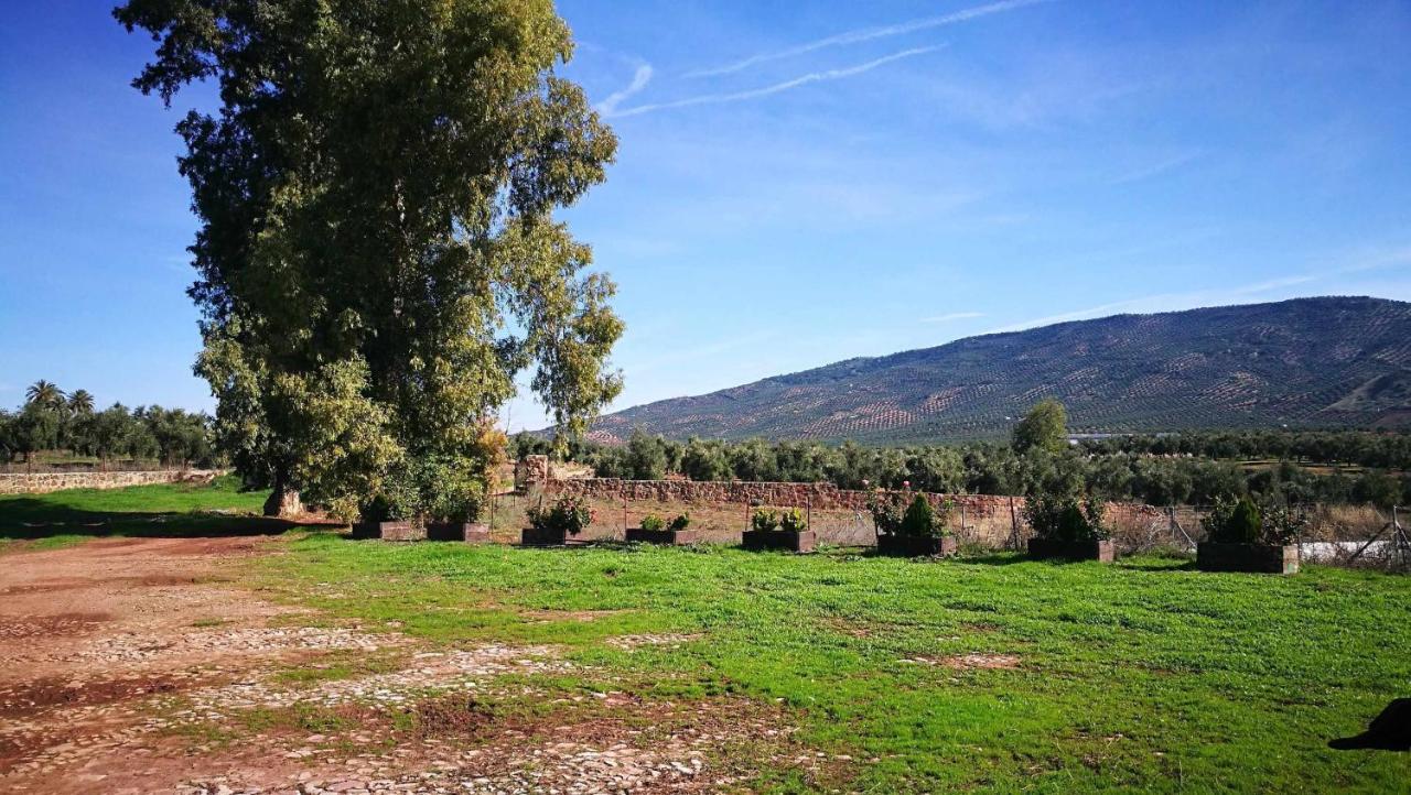 Finca El Vizconde Naturaleza Con Tus Hijos Arquillos Εξωτερικό φωτογραφία