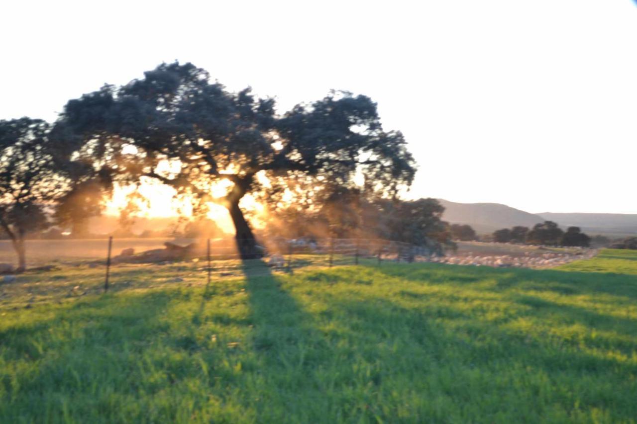 Finca El Vizconde Naturaleza Con Tus Hijos Arquillos Εξωτερικό φωτογραφία