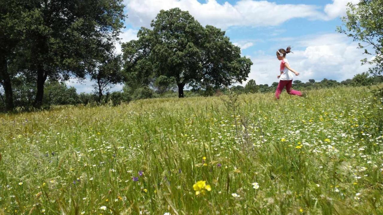 Finca El Vizconde Naturaleza Con Tus Hijos Arquillos Εξωτερικό φωτογραφία