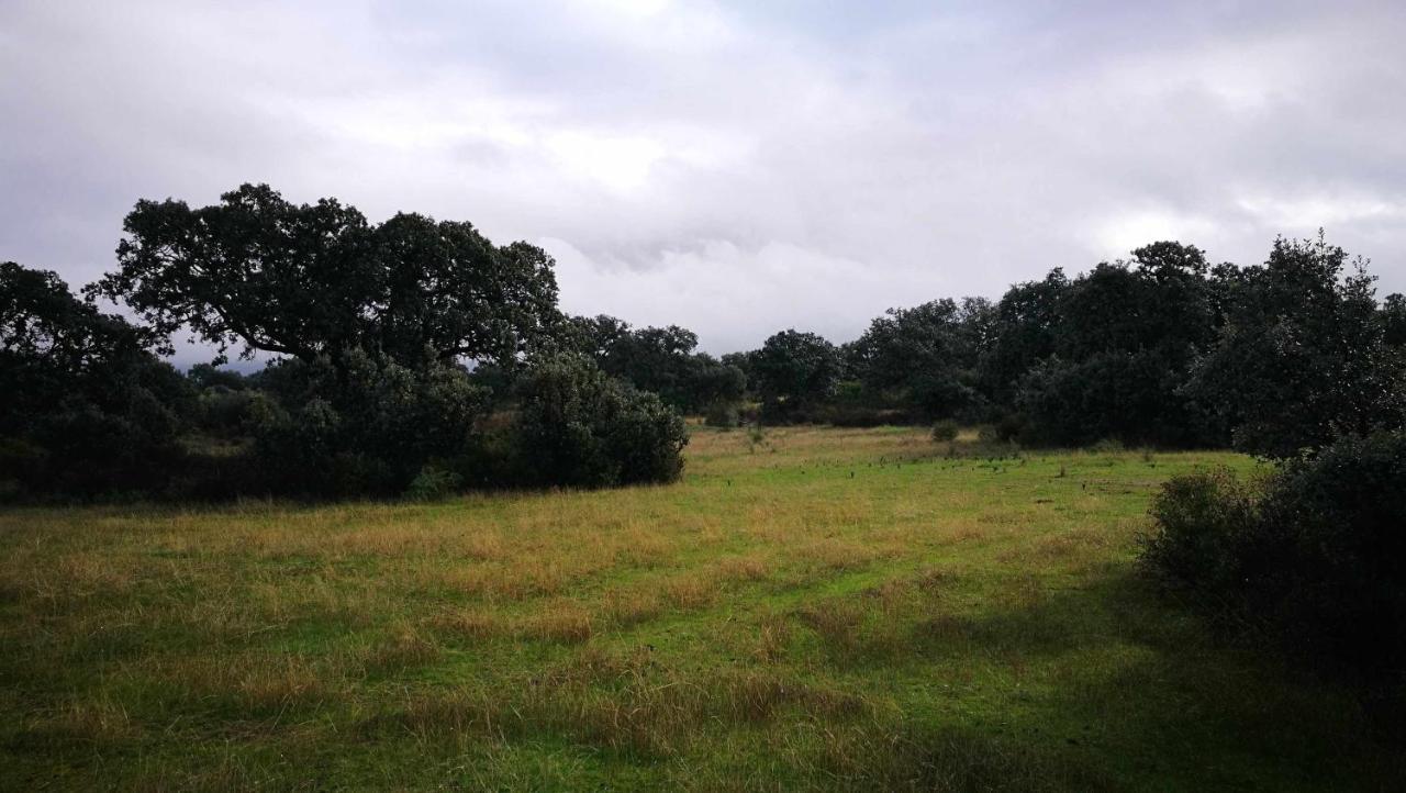Finca El Vizconde Naturaleza Con Tus Hijos Arquillos Εξωτερικό φωτογραφία
