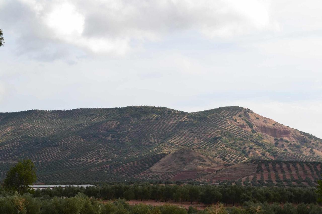 Finca El Vizconde Naturaleza Con Tus Hijos Arquillos Εξωτερικό φωτογραφία