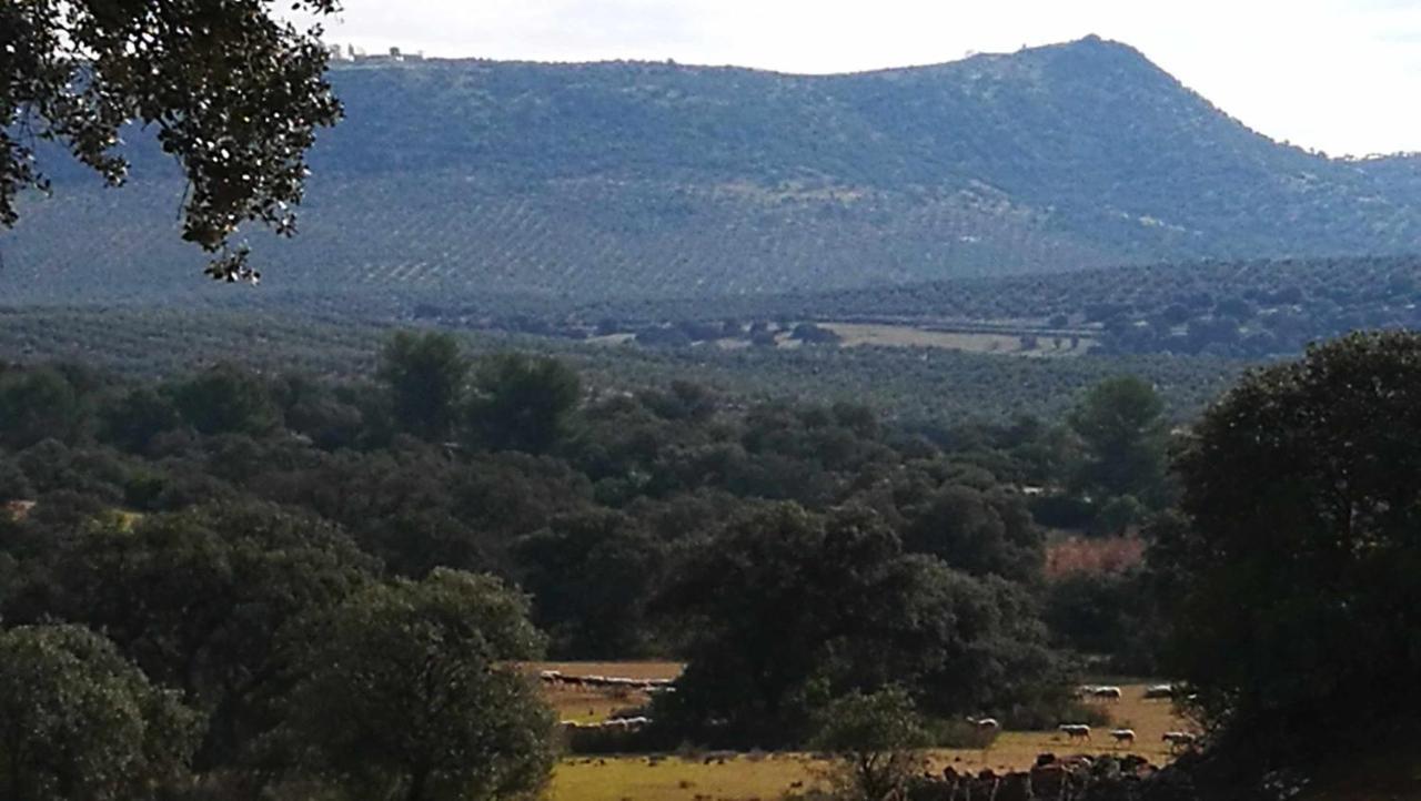 Finca El Vizconde Naturaleza Con Tus Hijos Arquillos Εξωτερικό φωτογραφία