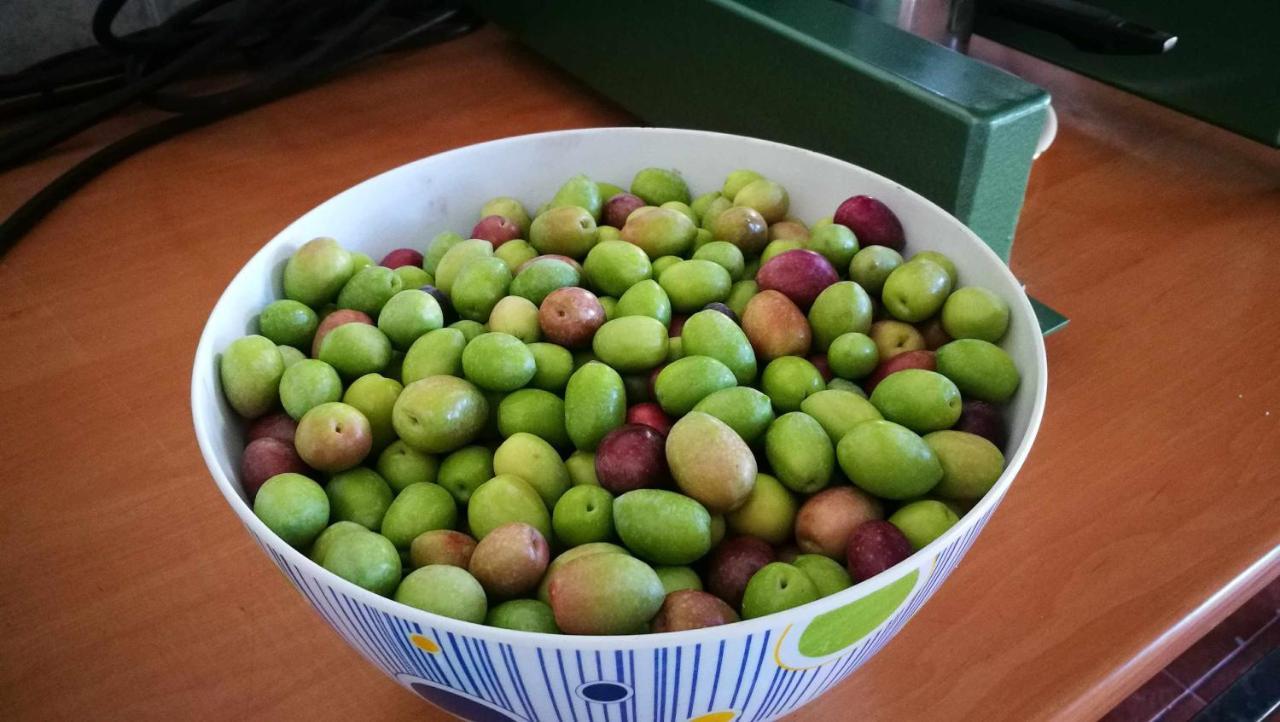 Finca El Vizconde Naturaleza Con Tus Hijos Arquillos Εξωτερικό φωτογραφία