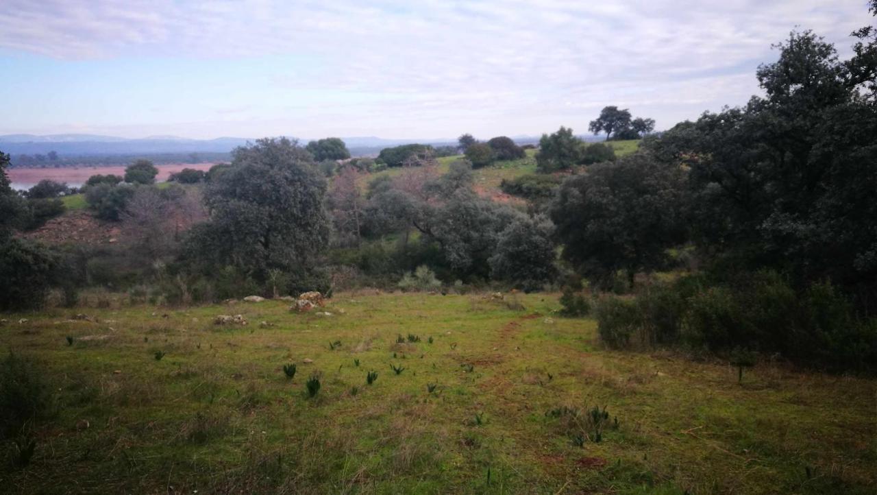 Finca El Vizconde Naturaleza Con Tus Hijos Arquillos Εξωτερικό φωτογραφία
