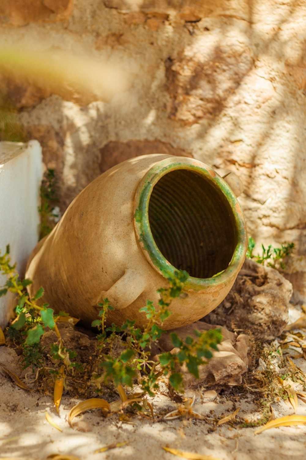Finca El Vizconde Naturaleza Con Tus Hijos Arquillos Εξωτερικό φωτογραφία